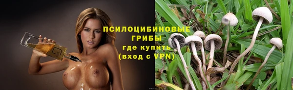 эйфоретик Вязьма