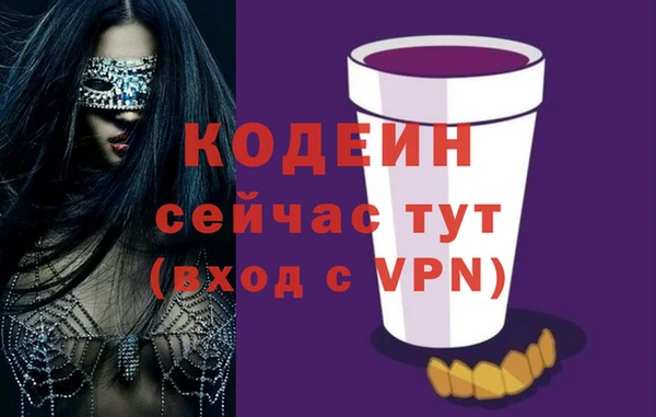 дурь Вяземский