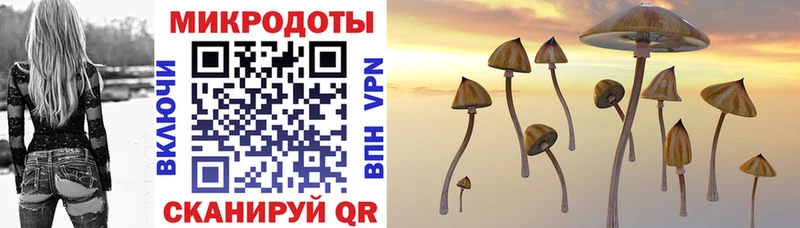 OMG онион Каменка Псилоцибиновые грибы мицелий