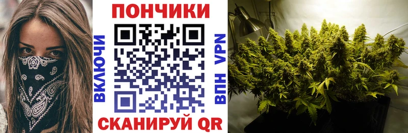 МАРИХУАНА индика  Каменка 